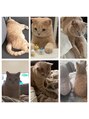 ココ プライベートサロン(COCO)&nbsp;猫飼ってます★毎日癒されてます◎