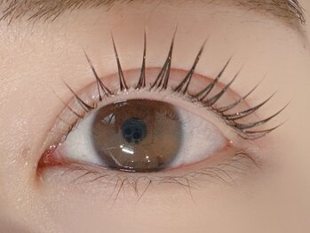 アヤトリ(ayatori)/とにかく立ち上げデザイン