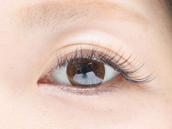 セレンディピティ(Serendipity)/セーブルラッシュ　120本