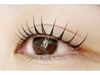 ヒッポ(Hippo)/まつ毛パーマラッシュリフト