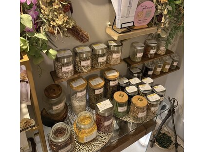 リンネ(Linne)の写真