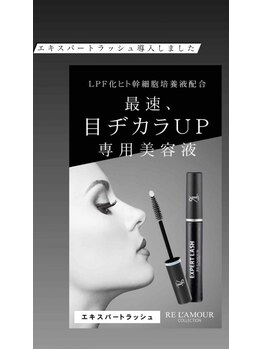 シャルム エスボーテ(charme Esbeaute)/エキスパートシリーズ