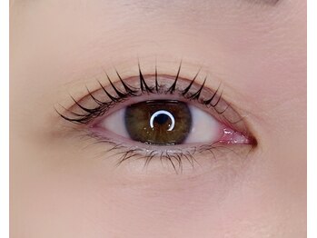 ホワイトテラス(White Terrace)/まつ毛パーマ