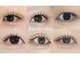 リッチオ(Riccio)の写真
