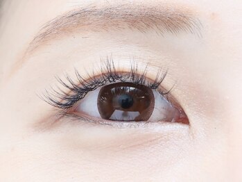 セレンディピティ(Serendipity)/３Ｄボリュームラッシュ200本