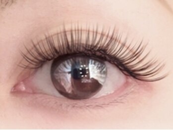 ホワイトカメリア 梅田茶屋町店(White Camellia)/マツエク/マツエクサロン