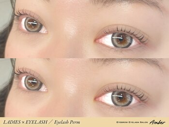 アンバー 表参道(Amber)