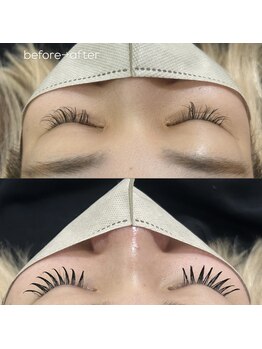 シェリル 国分寺(Cherilu)/ダブルフラット120束