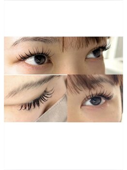 ルーフ/人気design