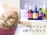 【水光肌ハーブピーリング】4週間以内再来でオプションプレゼント！