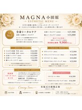 マグーナ 小田原店(MAGNA)/MAGNA小田原メニュー