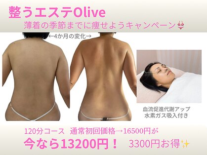 オリーブ(Olive)の写真