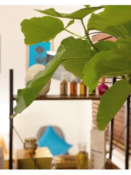 ルシール(Lucir)/店内