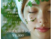 サロン キュート(Salon Cute)