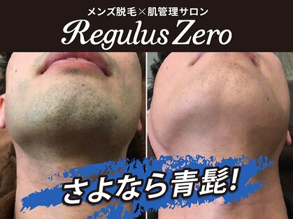 レグルスゼロ 豊田店の写真