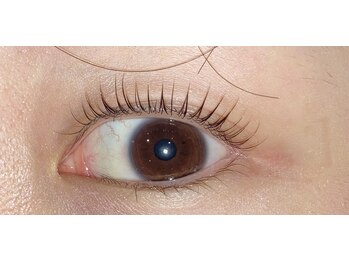 リシェル 町田(Richelle)/ラッシュリフトカール