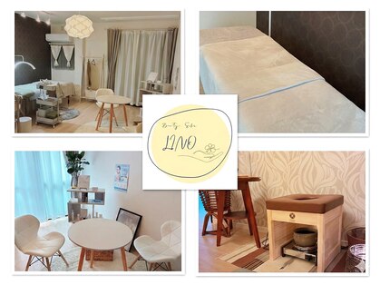 リノ(LINO)の写真