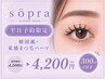 【平日限定◎300円OFF】韓国風・束感まつ毛パーマ4500円→【4200円】70分