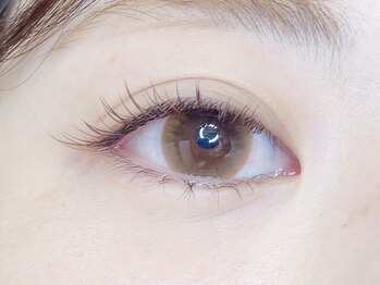 アイクイック 川口(Ai Quick)/★ブラウンフラット120本★