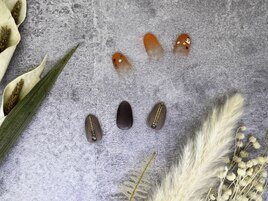 初回ソフトジェルオフ込7600円