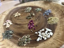 タミー(tummy)/かわいい選ばれしハーブたち