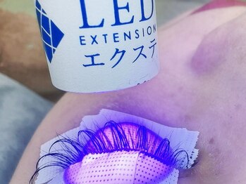 アオイ アイアンドネイル 新宿店の写真/<圧倒的キープ力LEDマツエク取扱店!>魅力たっぷり!SNSで話題のワンホンまつ毛!!お人形の様な目元へ★