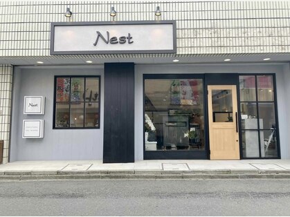 ネスト(Nest)の写真