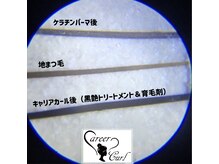 美アイズ リッチラッシュ(Rich Lash)/毛質改善！キャリアカール