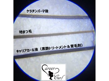 美アイズ リッチラッシュ(Rich Lash)/毛質改善!キャリアカール