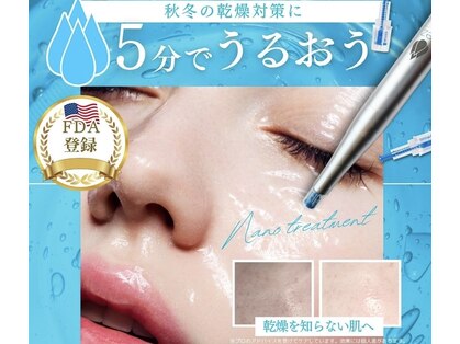 ラージ パトゥ(Raj Path)の写真