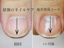 トゥインクリーネイルサロン(Twinkly Nail Salon)/【最強のネイルケア】1回お試し