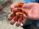 トロン(TORON)の写真/二度目～も同じ価格◎技術力はもちろん、通いやすい価格とカウンセリングから施術まで丁寧な対応が人気★