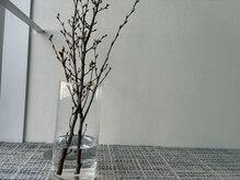 リチューン 自由が丘店(Re.tune)/啓翁桜（けいおうざくら）