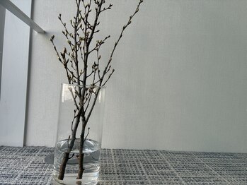 リチューン 自由が丘店(Re.tune)/啓翁桜(けいおうざくら)