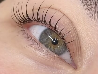 ビューティアイ(Beauty eye)の写真