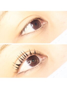 オードリー(AUDREY)/パリジェンヌラッシュリフト