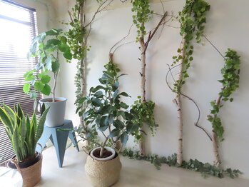 みずうみ(Mis.umi)/～店内～