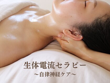 ハル(Haru)の写真