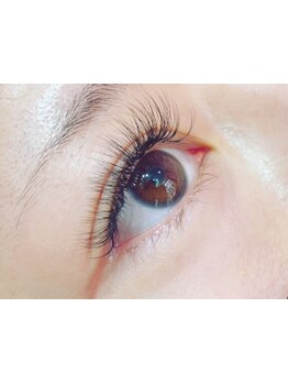 特別な日に合う華やかな目元にしたい