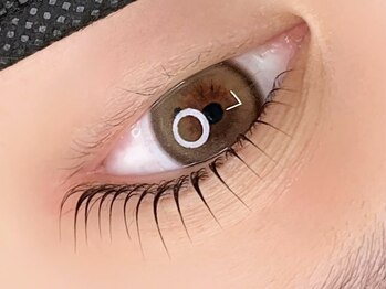 AMK/ラッシュリフト