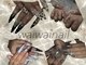 ワイワイネイル(waiwai nail)の写真
