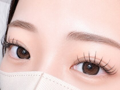 アーティス(Artis)の写真