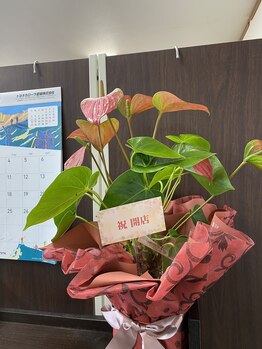 クリニカルカイロラクロス 西条/オープン祝いをいただきました