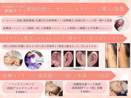 フレイヤ(FREYA)の写真