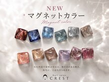 クレスト 奈良店(CREST)の雰囲気(マグネットネイル♪カラーの種類が豊富です♪試し塗りOK!)