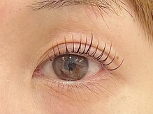 カシータ(Casita)/マイラミネーション/ぱっちり