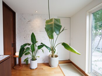 アムール【ハマム浴/アロマ/フェイシャル】/入り口はアロマの香り