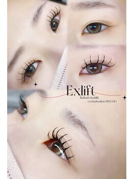 ベルダ(BELDAD)/Exlift フラット100本