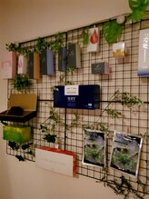 ヨサパーク リノ(YOSAPARK Lino)/