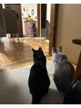 エゾボリック ジム(EZOBOLIC GYM)&nbsp;2匹猫を飼っており、大の愛猫家です！